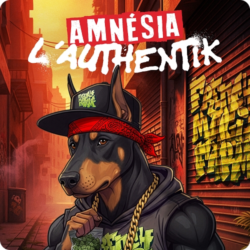 CBD-Bio-Amnésia