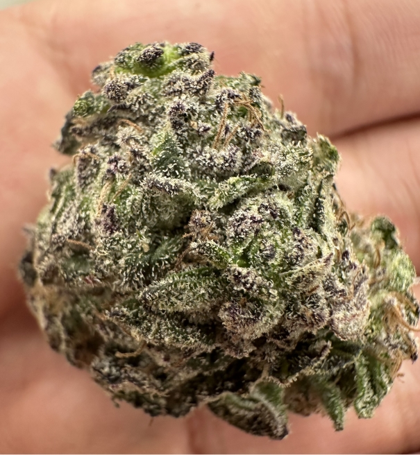 Fleurs de CBD-Bio