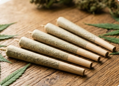 Pré-rolls CBD